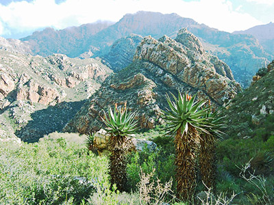 The only way to tour SA