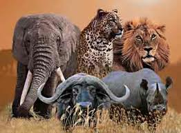 South Africa Car Rentals: The Only Way to Tour SA