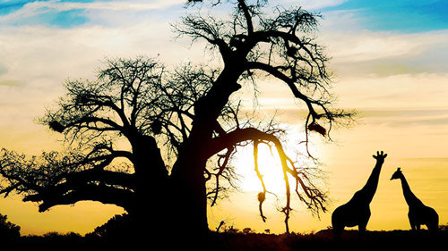 Road Map from Johannesburg to Durban